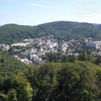 фото из отзыва ID 1272459