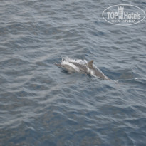 фото из отзыва ID 1272384