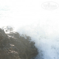 фото из отзыва ID 1272663