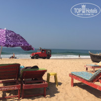 фото из отзыва ID 1272729