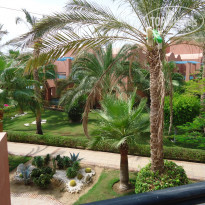 фото из отзыва ID 1272967