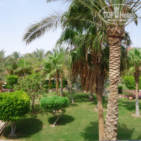 фото из отзыва ID 1272967