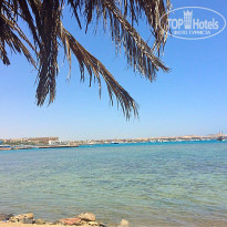 фото из отзыва ID 1273162