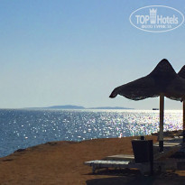 фото из отзыва ID 1273162