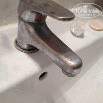 фото из отзыва ID 1273209