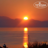 фото из отзыва ID 1273393