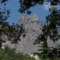 фото из отзыва ID 1273475