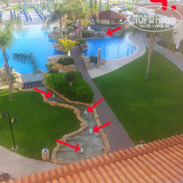 фото из отзыва ID 1273497