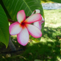 фото из отзыва ID 1273730