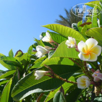 фото из отзыва ID 1273730