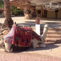 фото из отзыва ID 1273730