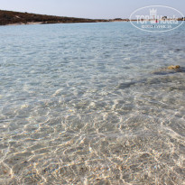 фото из отзыва ID 1273776