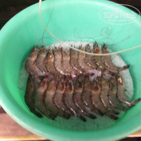 фото из отзыва ID 1273945