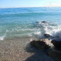 фото из отзыва ID 1274200