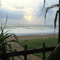 фото из отзыва ID 1270256