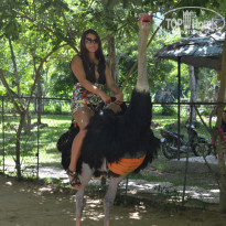 фото из отзыва ID 1274318