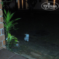 фото из отзыва ID 1274327