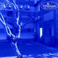 фото из отзыва ID 1274327