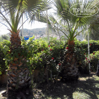 фото из отзыва ID 1274484