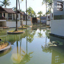 фото из отзыва ID 1274383