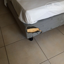 фото из отзыва ID 1274819