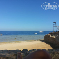 фото из отзыва ID 1275117