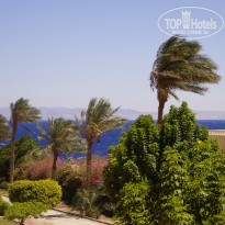 фото из отзыва ID 1275138