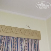 фото из отзыва ID 1275138