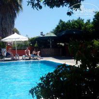 фото из отзыва ID 1275423