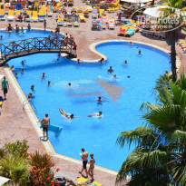 фото из отзыва ID 1275526