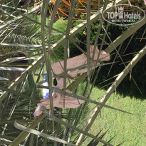 фото из отзыва ID 1275660