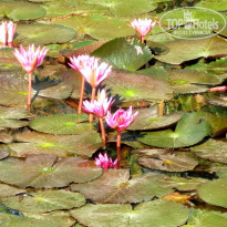 фото из отзыва ID 1275761