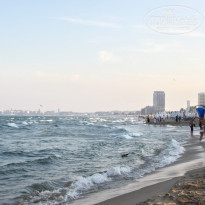 фото из отзыва ID 1275872