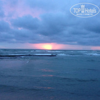 фото из отзыва ID 1275965