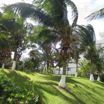 фото из отзыва ID 1276065