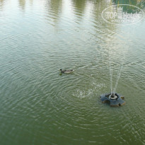 фото из отзыва ID 1276357