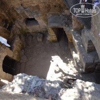 фото из отзыва ID 1276420