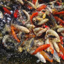 фото из отзыва ID 1276420