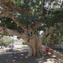 фото из отзыва ID 1276420