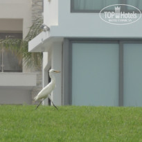 фото из отзыва ID 1276420