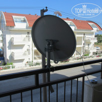 фото из отзыва ID 1275902