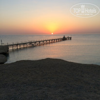 фото из отзыва ID 1276554