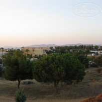 фото из отзыва ID 1276874