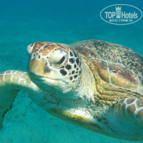 фото из отзыва ID 1276969