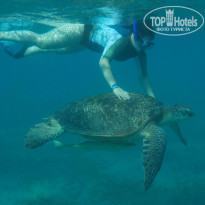 фото из отзыва ID 1276969