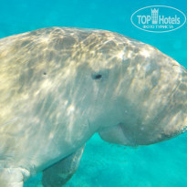 фото из отзыва ID 1276969