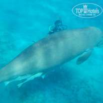 фото из отзыва ID 1276969