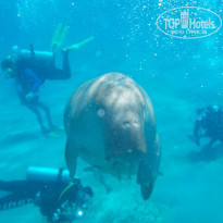 фото из отзыва ID 1276969