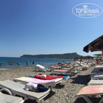 фото из отзыва ID 1276972