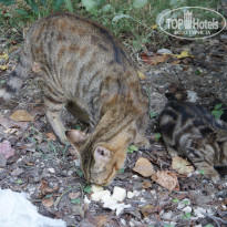 фото из отзыва ID 1276978